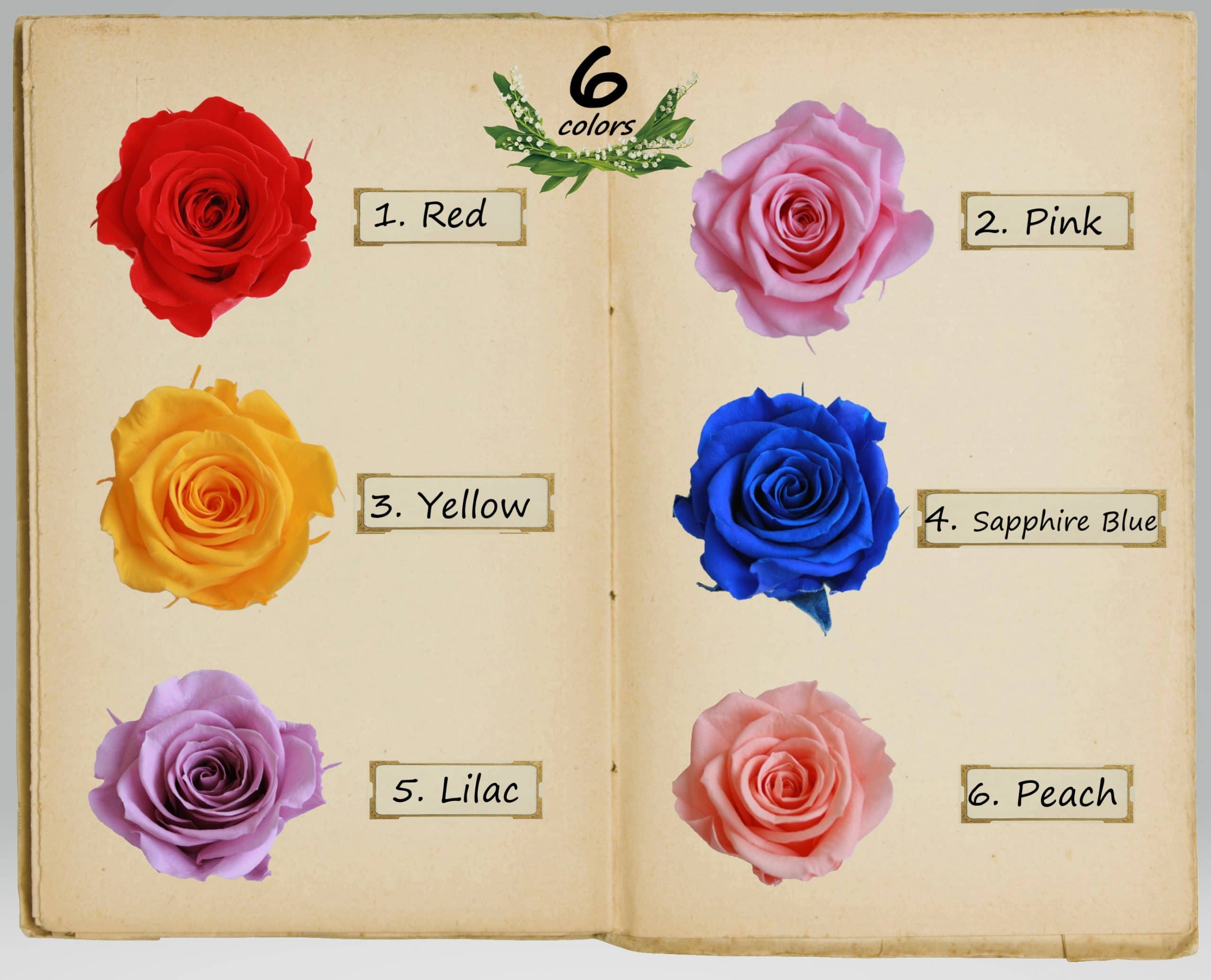 プリザーブドフラワー 【クリスティーナ】 - 画像 (2)