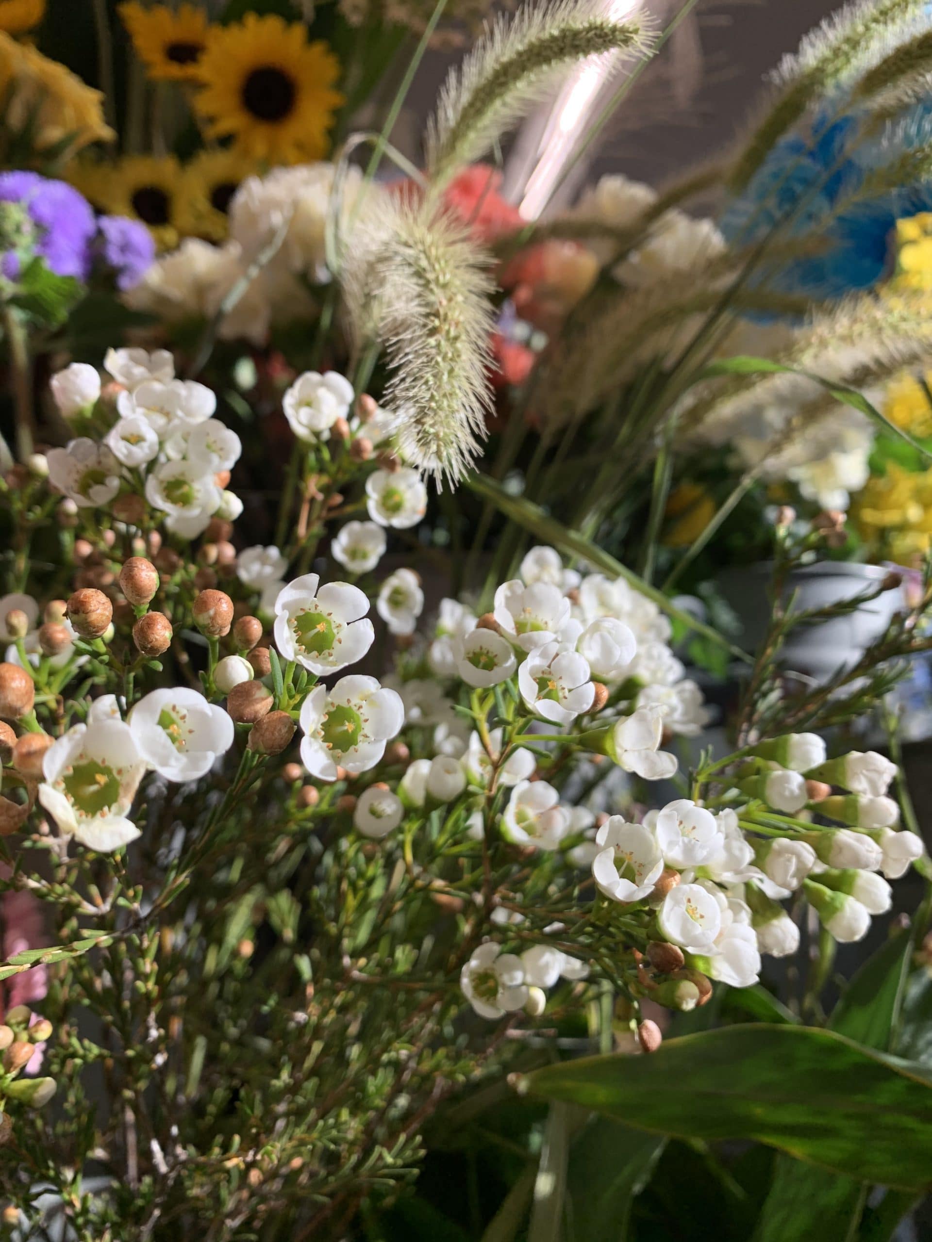 0CF88E8A-D2B3-459C-BD09-