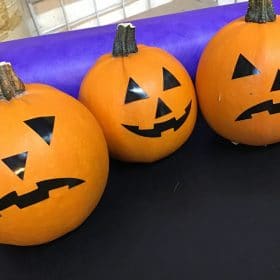 10月31日はハロウィン!お花とかぼちゃを飾ろう 2 F608BEEC 4F4E 47CD B4AB 9A8EE06A4B66