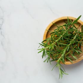 rosemary plants place on white marble floor