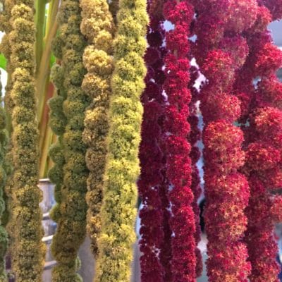 ジェルフラワー渋谷マークシティ店 株式会社 ジェルフラワー