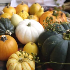 10月31日はハロウィン!お花とかぼちゃを飾ろう 1 P1110346