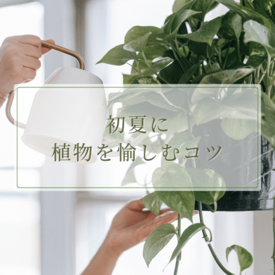 ee2466ee0dc597adca63bf6cd8ee7c6d